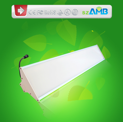 20w Frosted SMD 2835 Led Panel Light With Everlight , 600mm SMD Led Lights