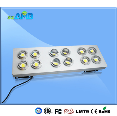 Stadium / Gym Led Outdoor Floodlight 600 W 60000 - 66000LM Bridgelux