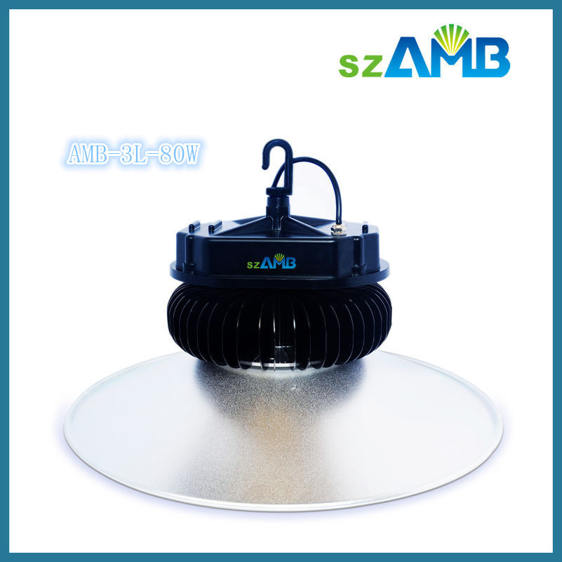 80W IP65 LED High Bay Fixture Bridgelux LED Chip with CE certificated